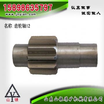 點(diǎn)擊查看詳細(xì)信息<br>標(biāo)題：齒輪軸12 江陰系列配件 閱讀次數(shù)：2314