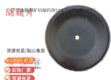 點(diǎn)擊查看詳細(xì)信息<br>標(biāo)題：氣動(dòng)隔膜泵配件-隔膜片 閱讀次數(shù)：349